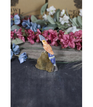 Gemstone Parrot #235, 144gr