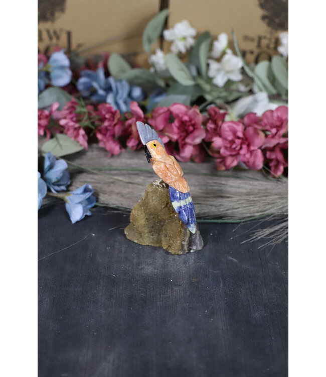 Gemstone Parrot #235, 144gr