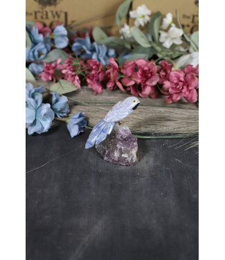 Gemstone Parrot #238, 126gr