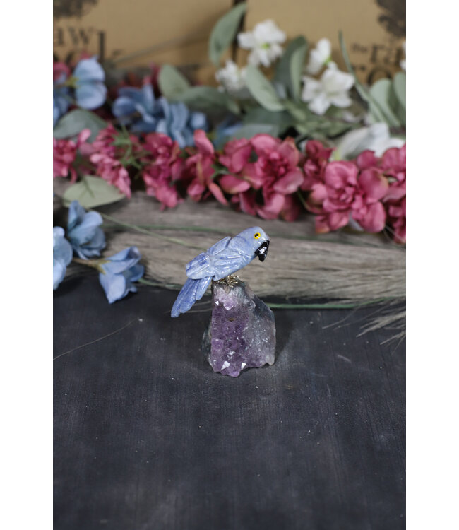 Gemstone Parrot #243, 78gr