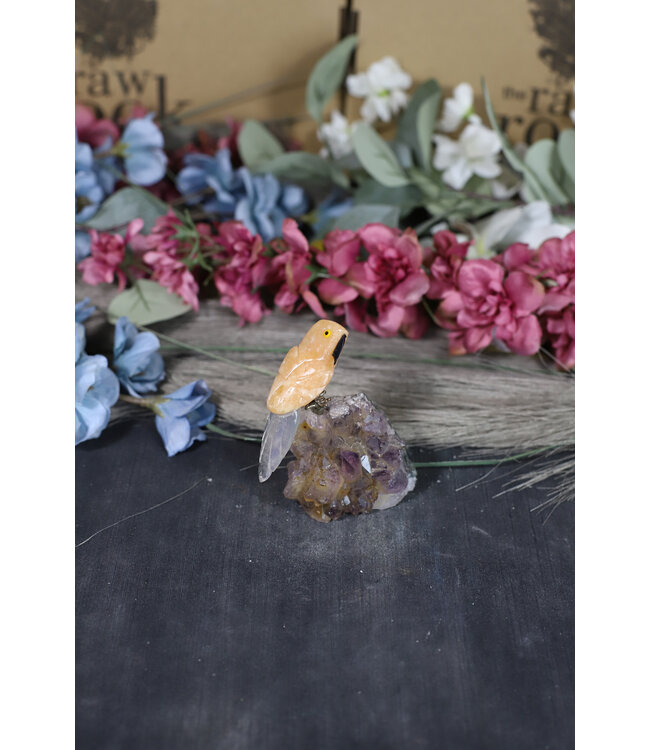 Gemstone Parrot #246, 108gr