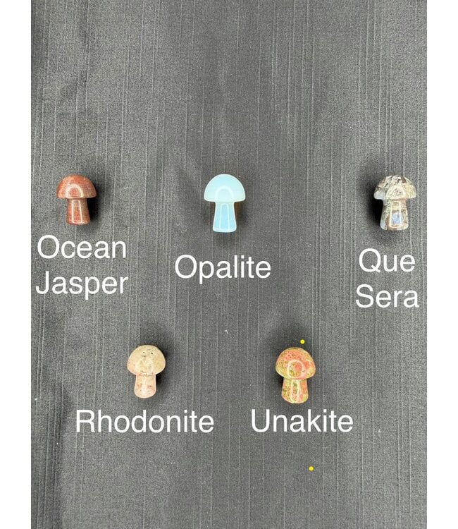 Mini Mushroom Carvings, 40 Types