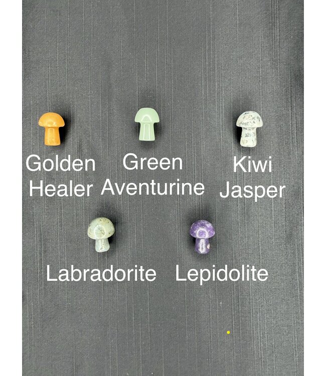 Mini Mushroom Carvings, 40 Types