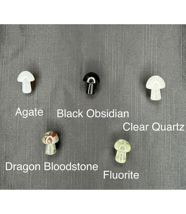 Mini Mushroom Carvings, 40 Types