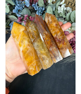 Golden Healer Point, Size XX-Large [125-149gr]
