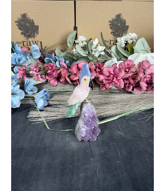 Gemstone Parrot #255, 92gr