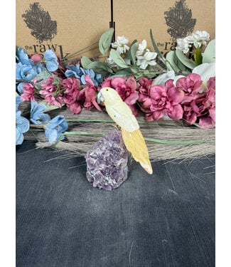 Gemstone Parrot #256, 118gr