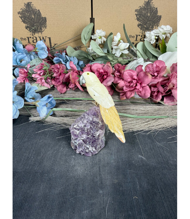 Gemstone Parrot #256, 118gr
