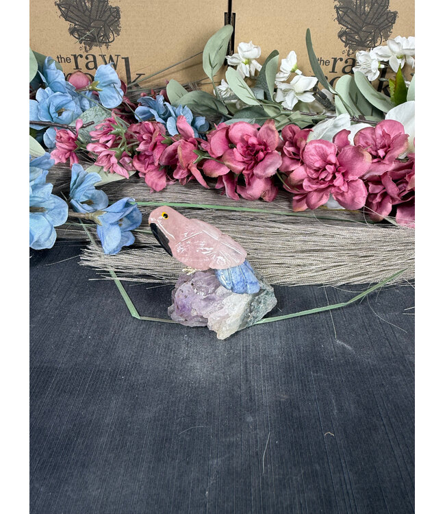 Gemstone Parrot #258, 82gr