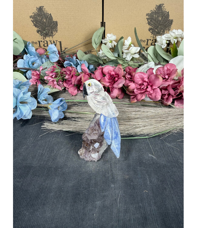 Gemstone Parrot #254, 90gr