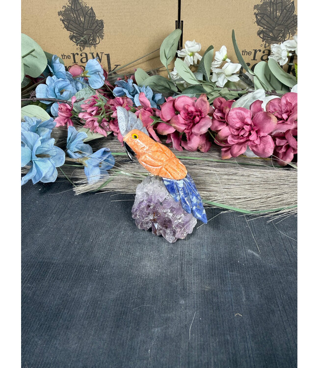 Gemstone Parrot #252, 104gr