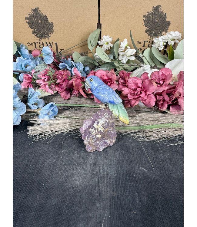 Gemstone Parrot #251, 104gr