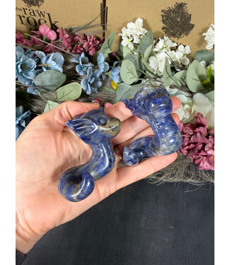 Sodalite Dratini, Pokémon Carving