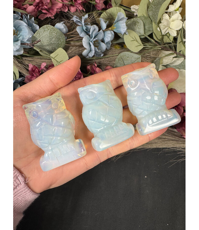 2" Owl Carving, 11 Types