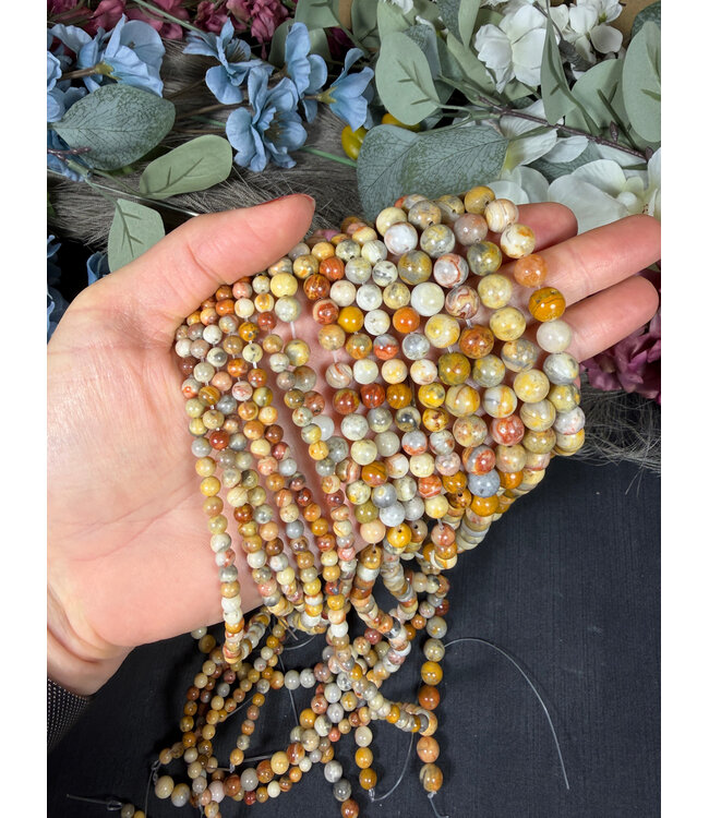 Crazy Lace Agate Beads Polished