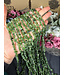 Canadian Jade Chip Beads Polished 31.5" Strand