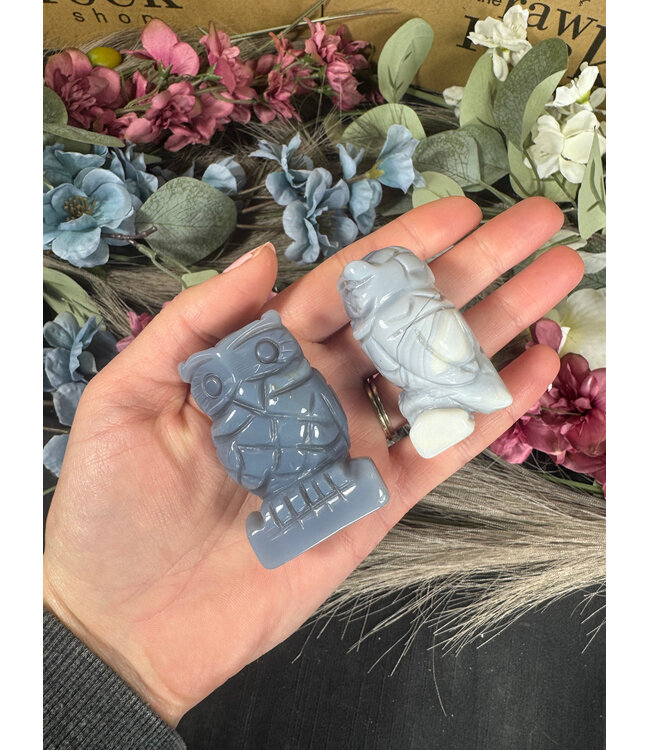 2" Owl Carving, 11 Types