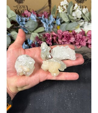 Apophyllite Specimen Mini Lot #1, 224gr