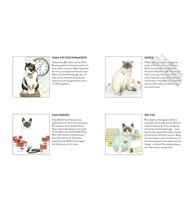 Cat Gurus - Wisdom from the World's Most Celebrated Felines