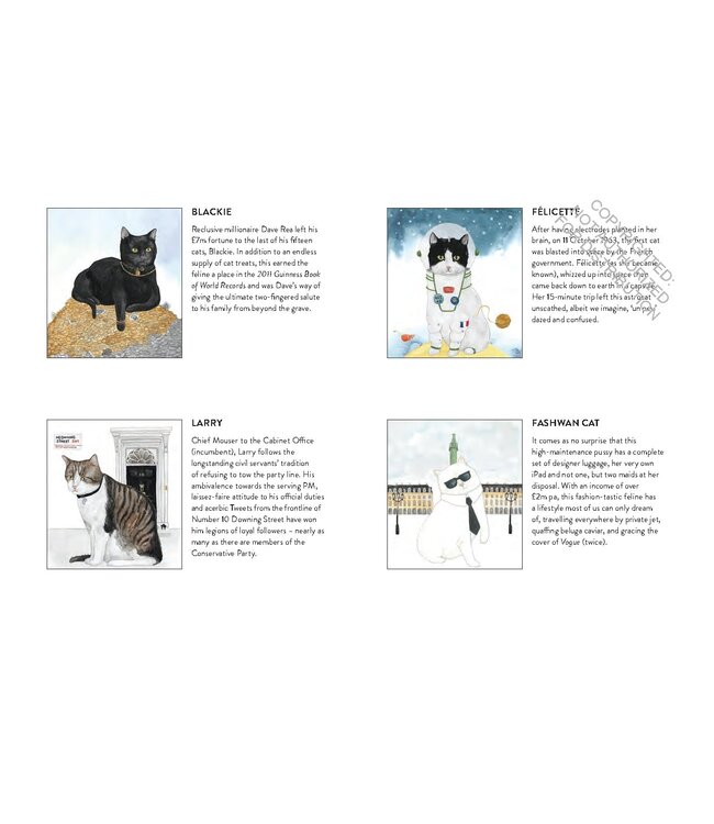 Cat Gurus - Wisdom from the World's Most Celebrated Felines