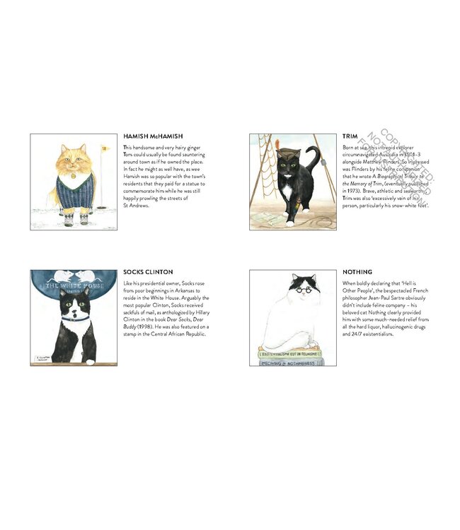 Cat Gurus - Wisdom from the World's Most Celebrated Felines