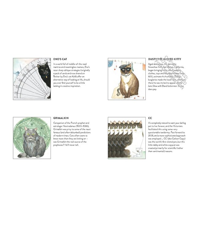 Cat Gurus - Wisdom from the World's Most Celebrated Felines