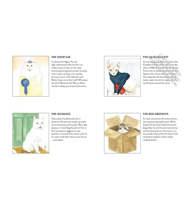 Cat Gurus - Wisdom from the World's Most Celebrated Felines