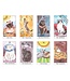 Cat Tarot