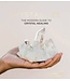 Crystallize - The Modern Guide to Crystal Healing