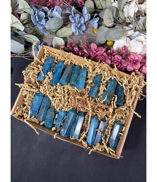 Apatite Points 1KG bulk lot