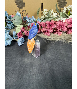 Gemstone Parrot #264, 70gr