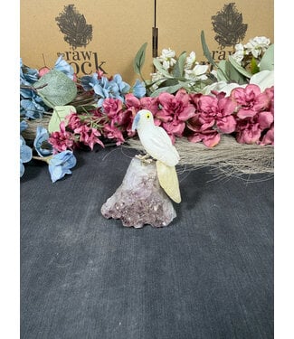 Gemstone Parrot #262, 116gr