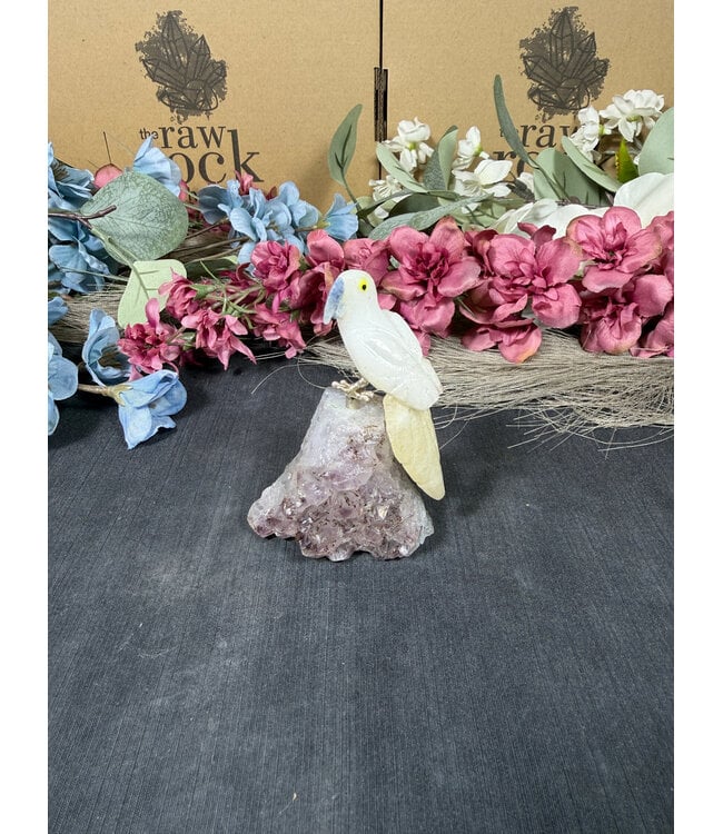 Gemstone Parrot #262, 116gr