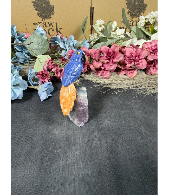 Gemstone Parrot #264, 70gr