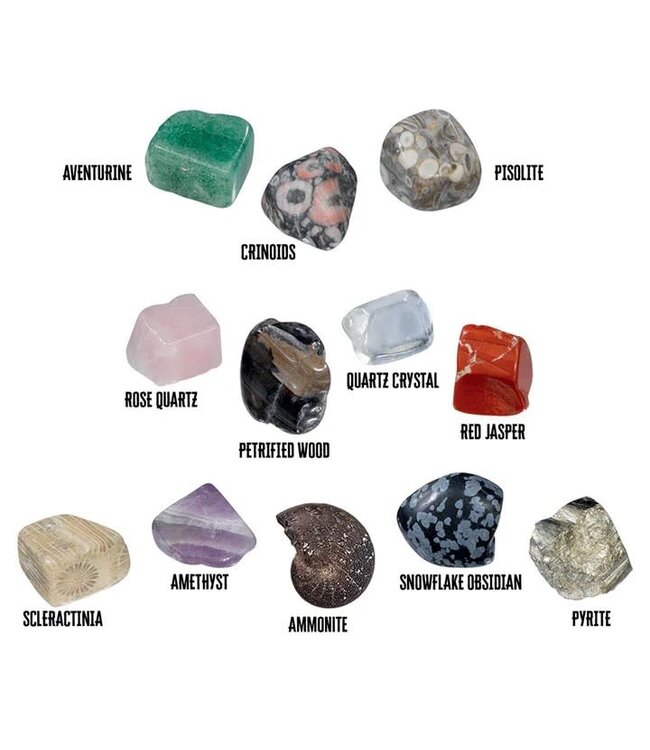 I DIG IT! Rocks and Fossils! Mini Excavation Kits