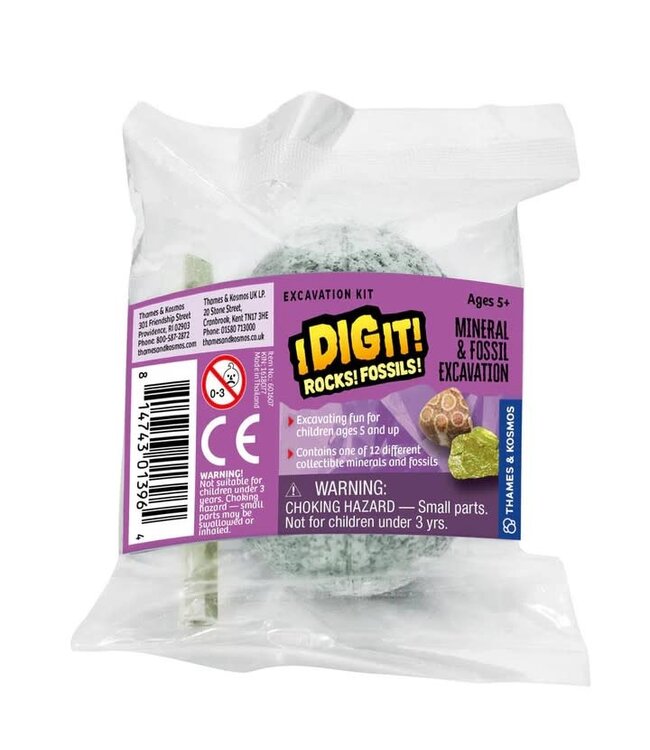 I DIG IT! Rocks and Fossils! Excavation Kits