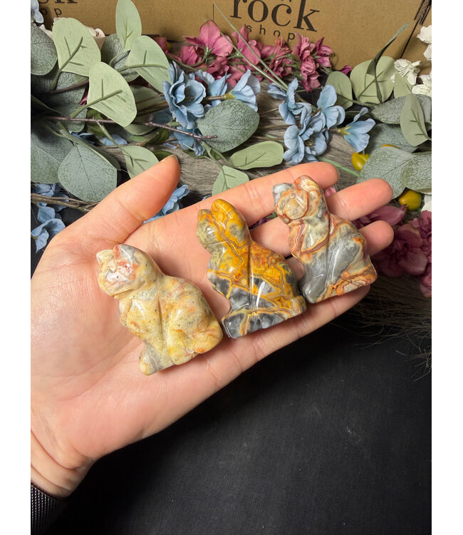 2" Cat Carving, 12 Types