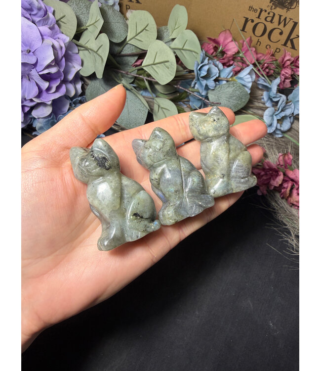 2" Cat Carving, 12 Types