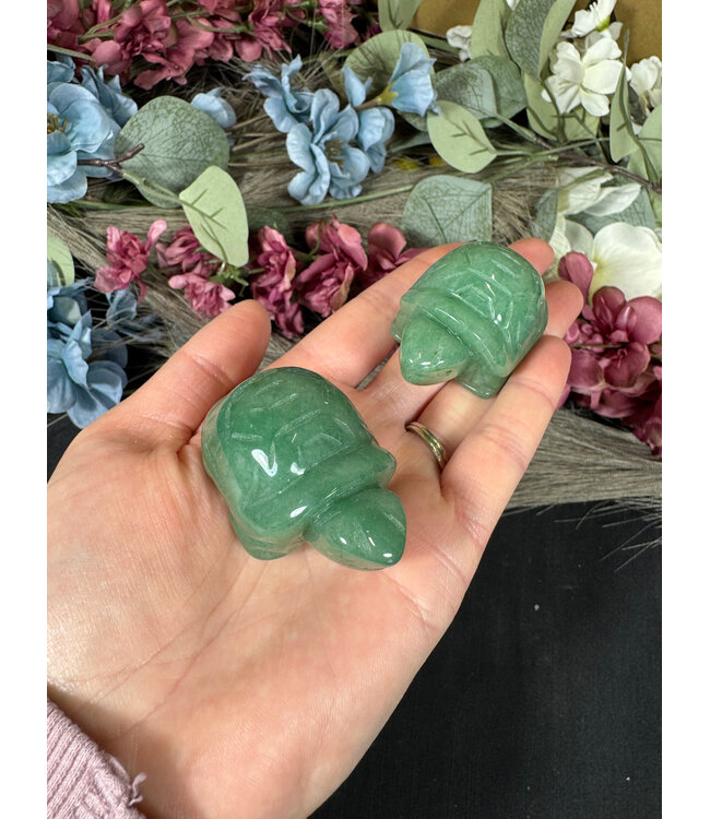 2" Turtle Carving, 11 Types