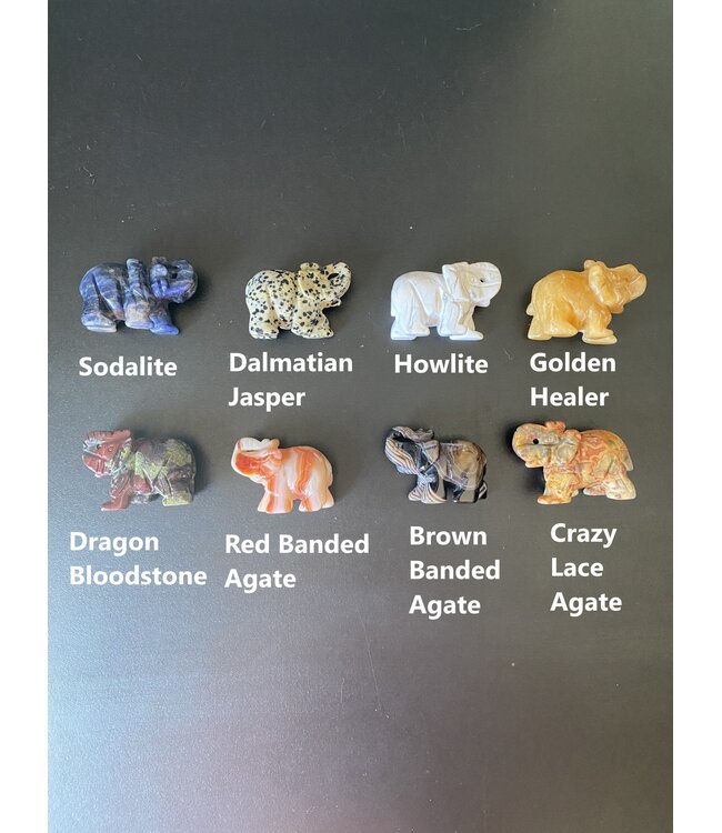 2" Elephant Carving, 24 Types