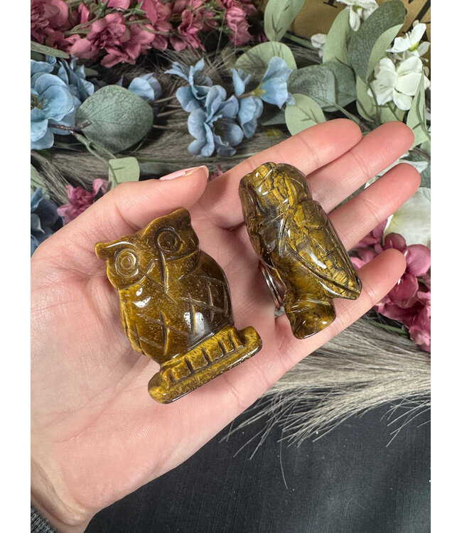 2" Owl Carving, 11 Types