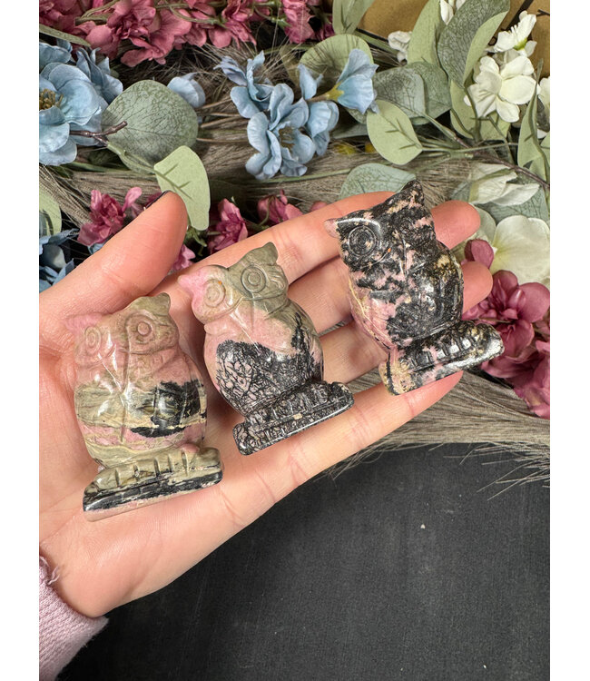 2" Owl Carving, 11 Types