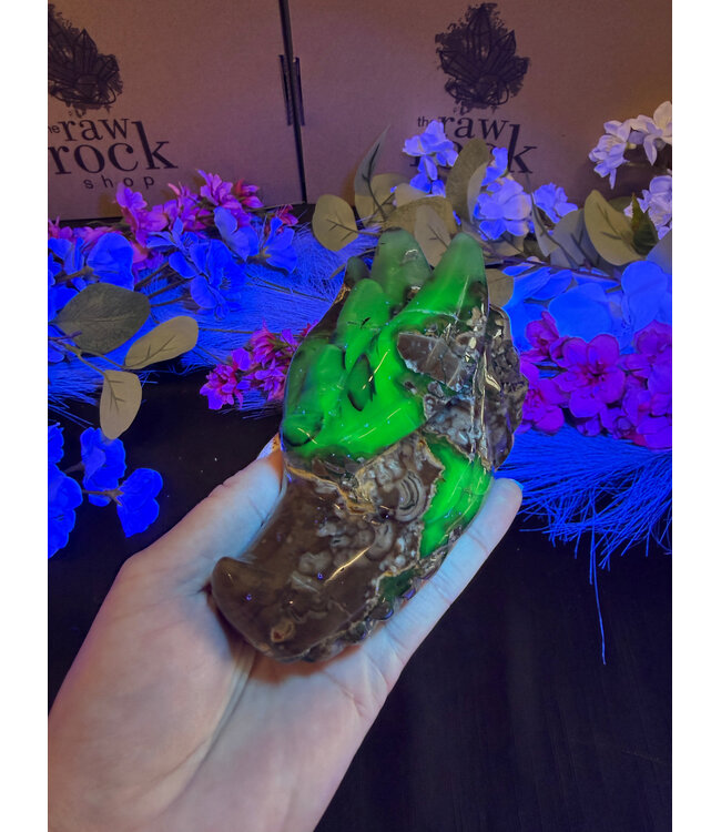 Fluorescent Agate Dragon Head #5, 600gr