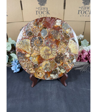 Ammonite Plate with Stand #14, 848gr
