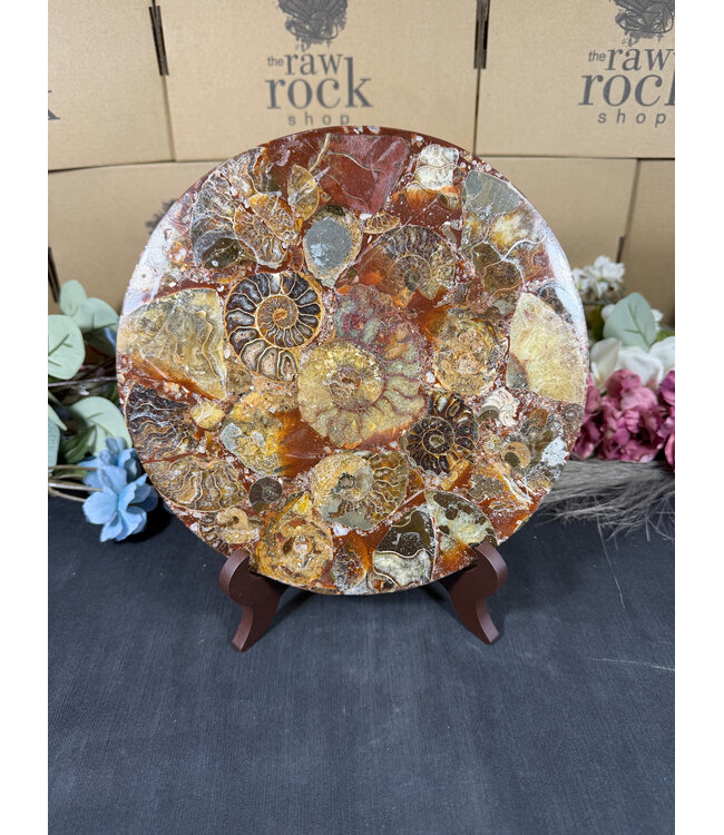 Ammonite Plate with Stand #14, 848gr