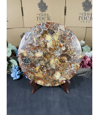 Ammonite Plate with Stand #13, 752gr