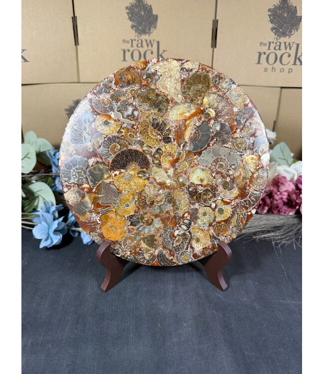 Ammonite Plate with Stand #12, 788gr