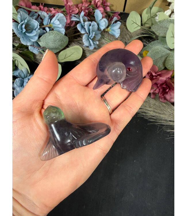 Fluorite Dewgong, Pokémon Carving