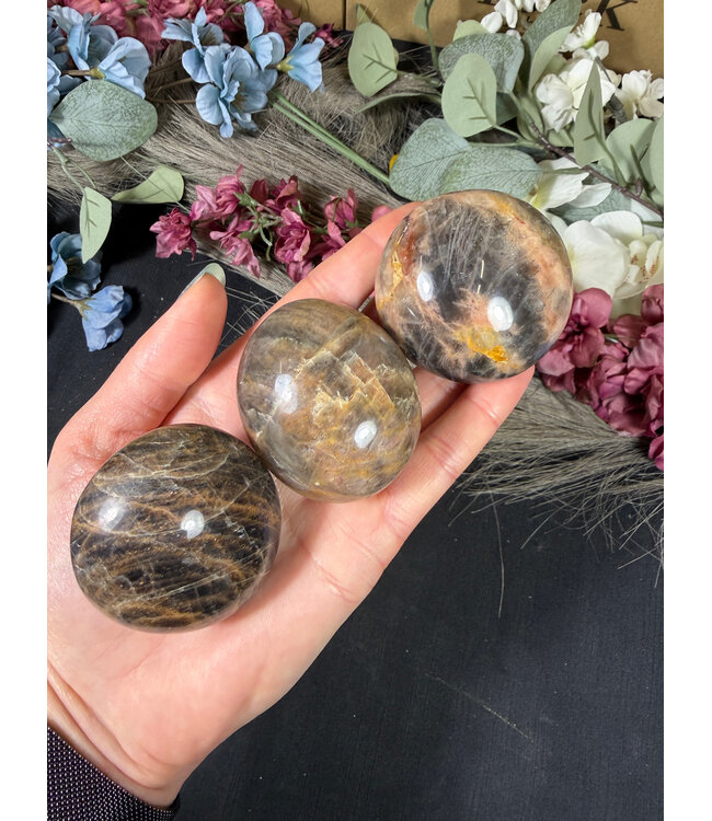 Black Moonstone Palm Stone, Size Medium [100-124gr]