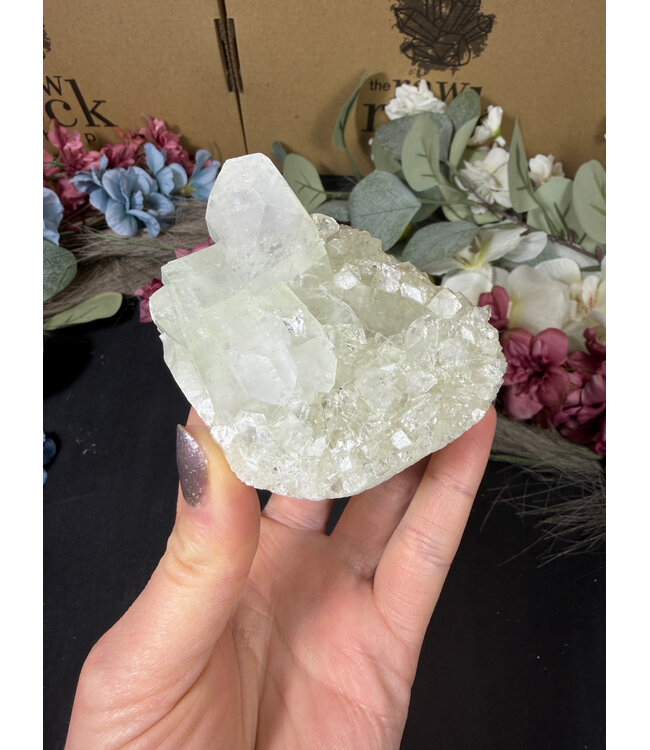 Apophyllite Specimen #1627, 236gr